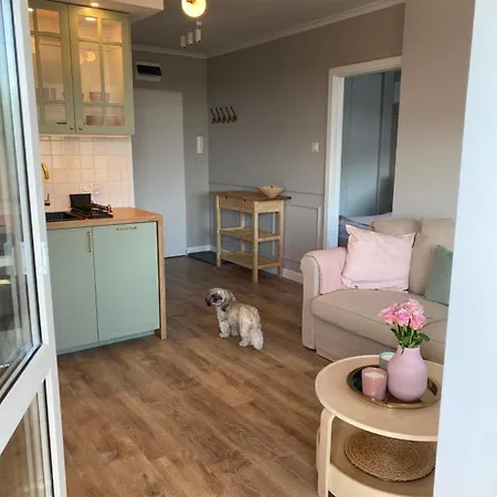 Apartman Your Holidays Fala 511 *